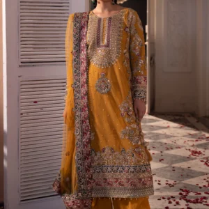 Orange Net Kurta 3PC Straight Cut Festive Set