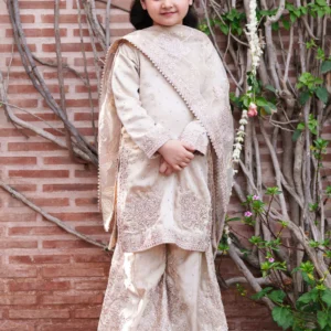 Beige Champagne 3 Piece Festive Dress – Straight Kurta with Straight Trouser & Organza Dupatta | Elegant Party Wear Outfit JQY0029