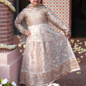 Gold Net Festive Wear 3 Piece Dress – Straight Cut Pishwas with Plazzo & Net Dupatta | Party & Wedding Wear Ensemble KQT1392