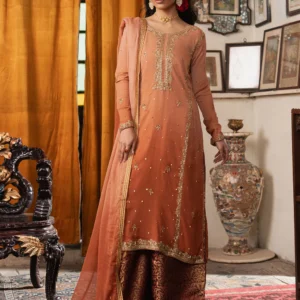 Peach Pink Chiffon 3PC Formal Straight Kurta Set