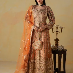 Peach Orange Embroidered Net Maxi 4Pc Formal Wear
