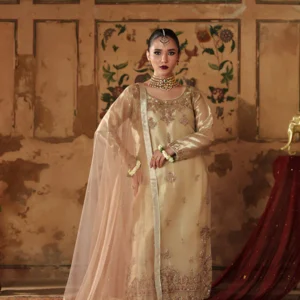 Zyrena Beige Silk Embroidered Festive Suit