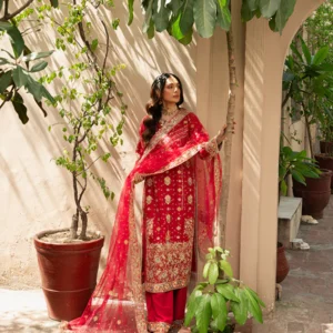 Red Chiffon Golden Embroidered Formal Suit