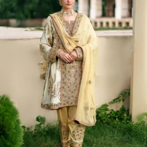 Beige Chiffon Formal Straight Kurta 3Pc Suit