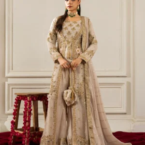 Beige Chiffon Flared Gown Party Wear Set