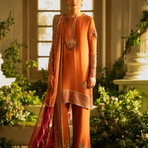 Rust Embroidered Chiffon Organza 3 Piece Suit Set