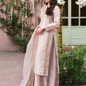 Pastel Pink Tissue Lehenga Suit with Embellished Work