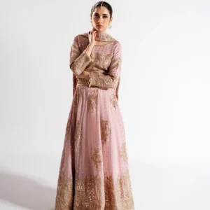 Pink Embellished Chiffon Lehenga Choli Dress Set