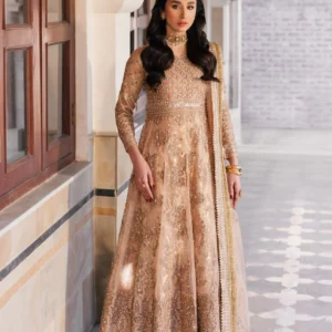 Gold Net Pishwas Dress for Wedding Women Party Wear