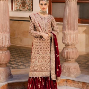 Red Embroidered Gharara Dress for Wedding Women Wear