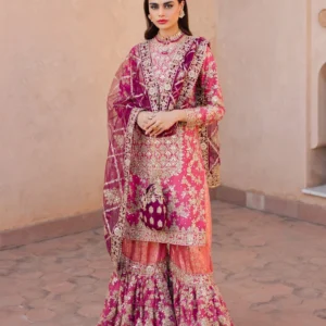 Coral Pink Embroidered Gharara Dress Party Wear Women