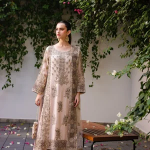Beige Chiffon Party Wear Suit for Women UK USA Canada