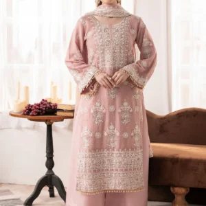 Blush Pink Embroidered Chiffon Suit for Women