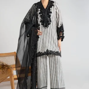 3 Piece Embroidered Cotton Velvet Elegant Suit