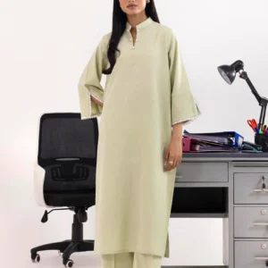 Sage Fancy Dobby Basic Women's Traditional Dress